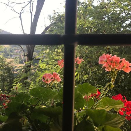 Apartament Antica Dimora Di Laura Barberino di Mugello Zewnętrze zdjęcie