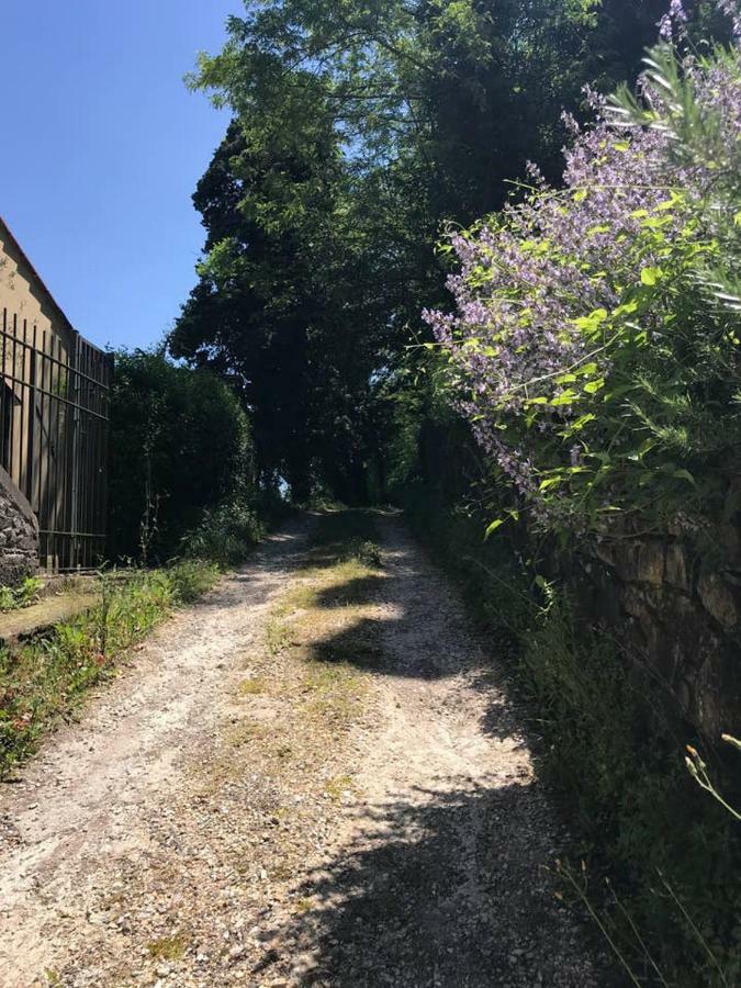 Apartament Antica Dimora Di Laura Barberino di Mugello Zewnętrze zdjęcie