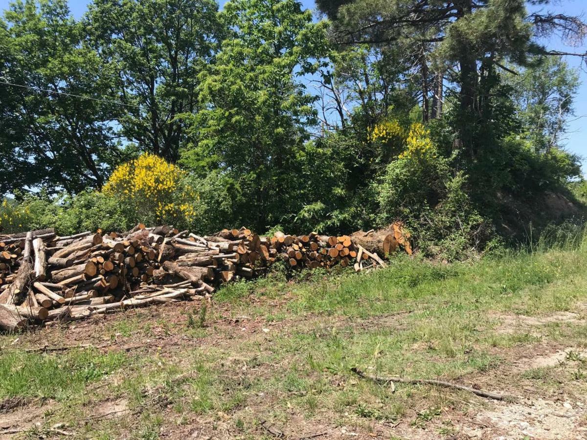 Apartament Antica Dimora Di Laura Barberino di Mugello Zewnętrze zdjęcie