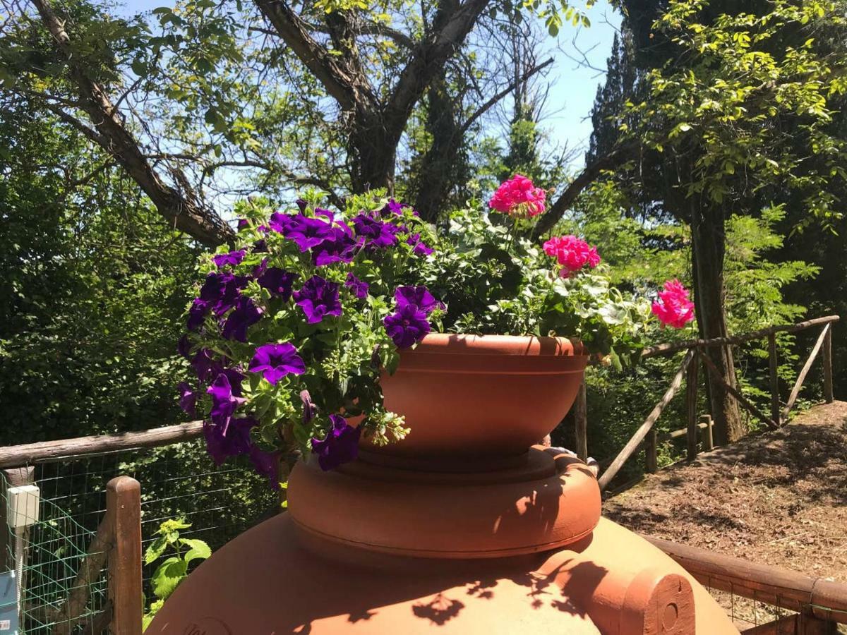 Apartament Antica Dimora Di Laura Barberino di Mugello Zewnętrze zdjęcie