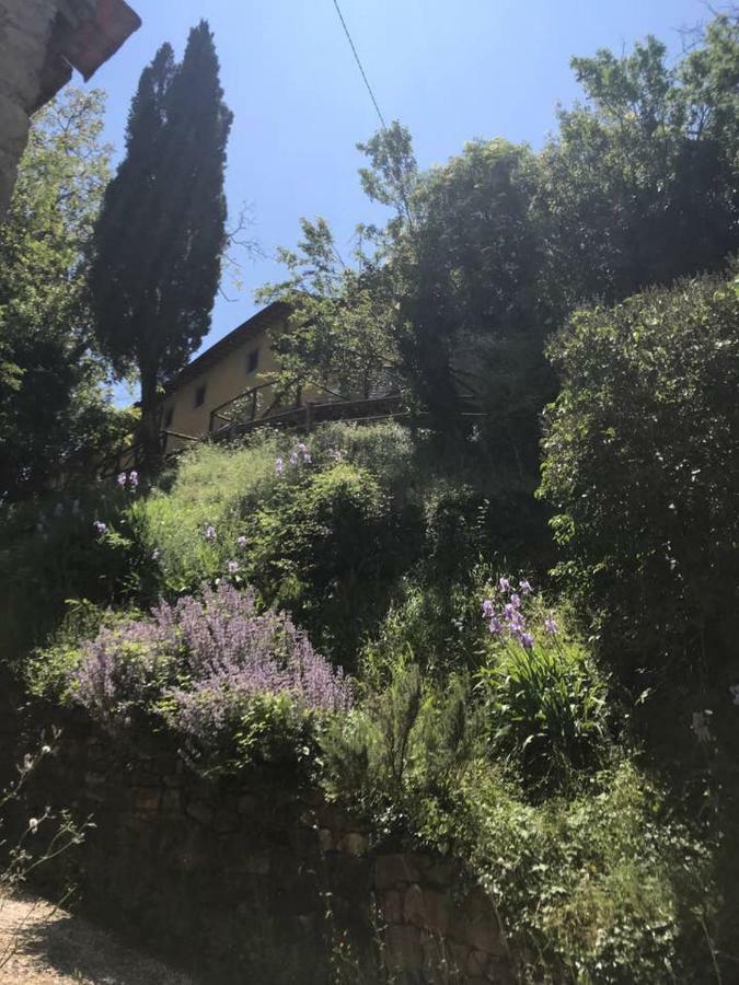 Apartament Antica Dimora Di Laura Barberino di Mugello Zewnętrze zdjęcie